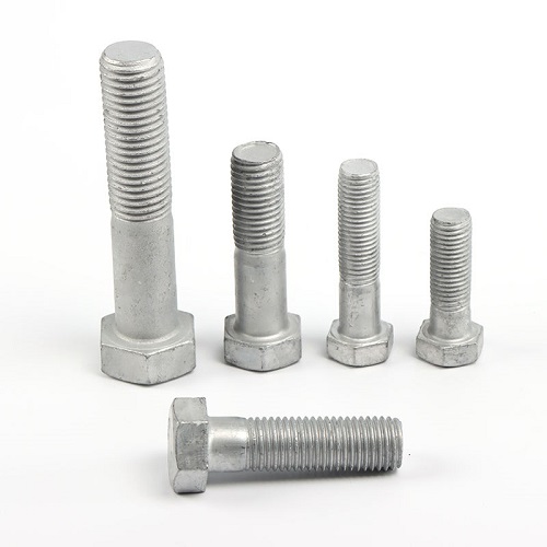 Heavy Hex Structural Bolt (6)