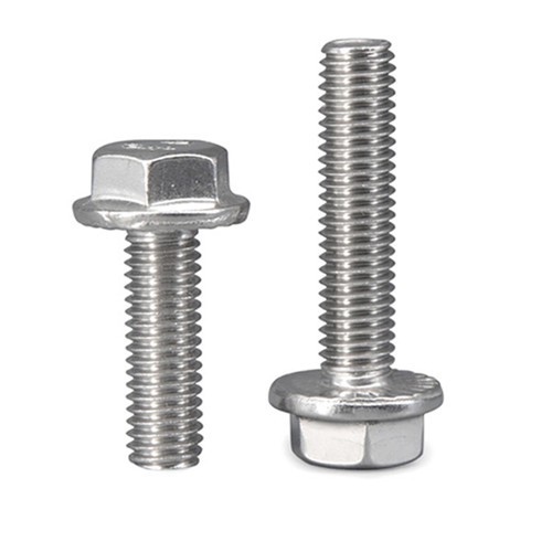 Hexagon Flange Bolt (4)